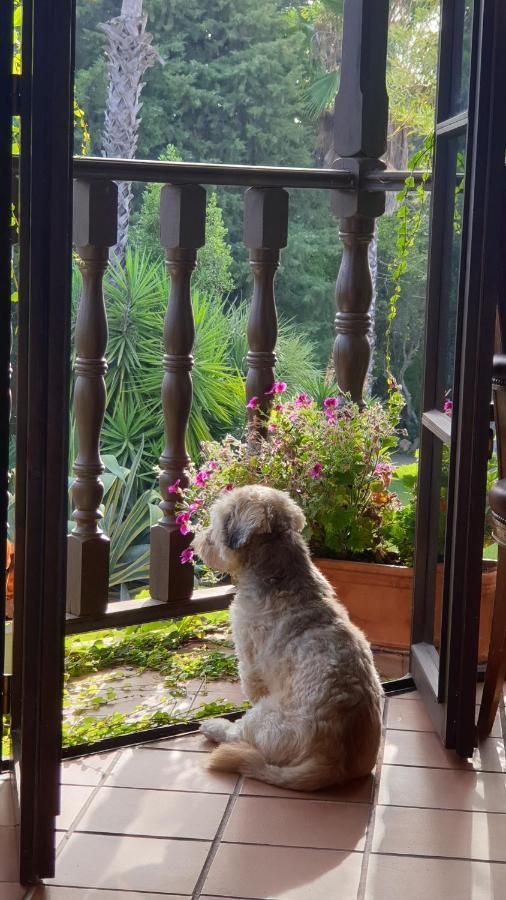 La Casa Del Torreon Bed & Breakfast อัลฆาราเก ภายนอก รูปภาพ