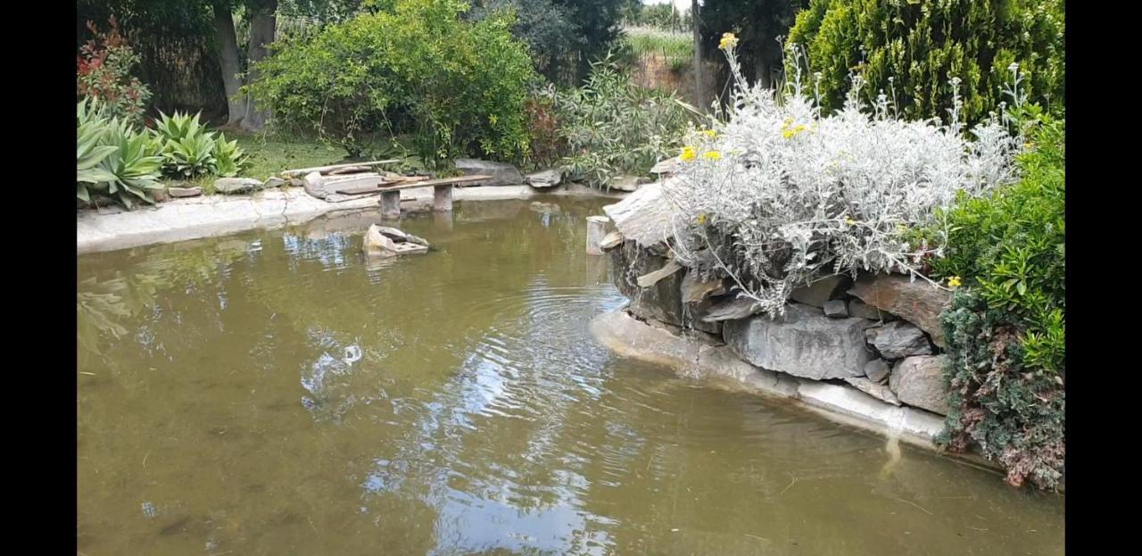 La Casa Del Torreon Bed & Breakfast อัลฆาราเก ภายนอก รูปภาพ