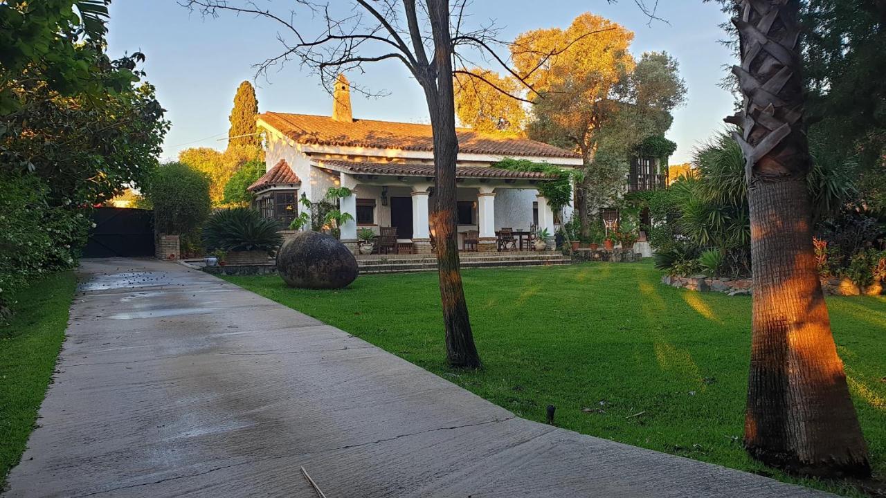 La Casa Del Torreon Bed & Breakfast อัลฆาราเก ภายนอก รูปภาพ
