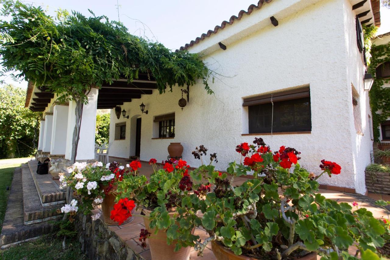 La Casa Del Torreon Bed & Breakfast อัลฆาราเก ภายนอก รูปภาพ