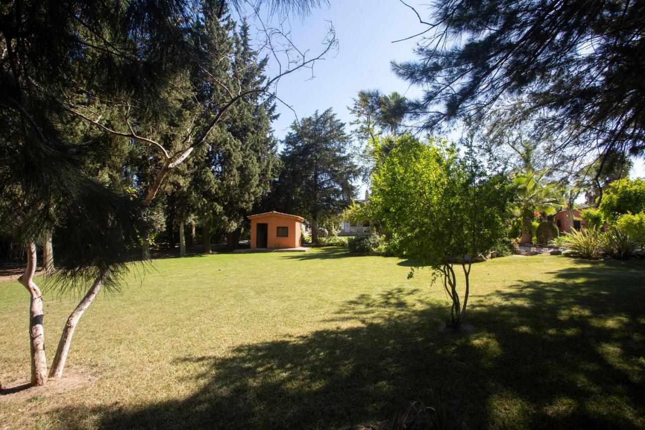 La Casa Del Torreon Bed & Breakfast อัลฆาราเก ภายนอก รูปภาพ