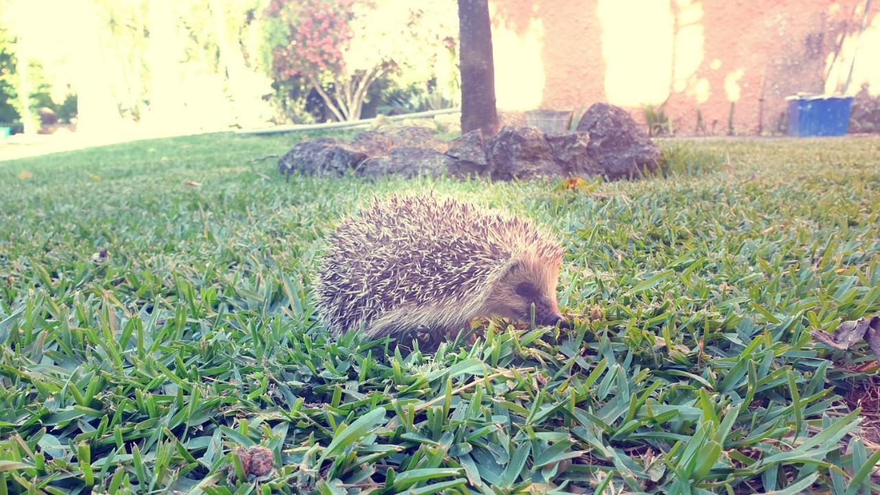 La Casa Del Torreon Bed & Breakfast อัลฆาราเก ภายนอก รูปภาพ